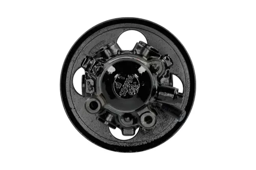 PSA / Stellantis HD Pomp 4007S5 (C2YA)