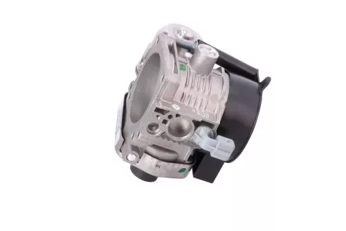  C113FE - HPI 2.0 16V RLZ EW10D/ SOLEX 1943/ MAGNETI MARELLI CTS (C113FE)